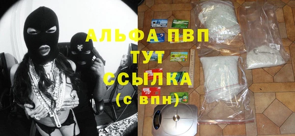 стаф Братск