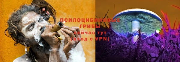 сатива Абинск
