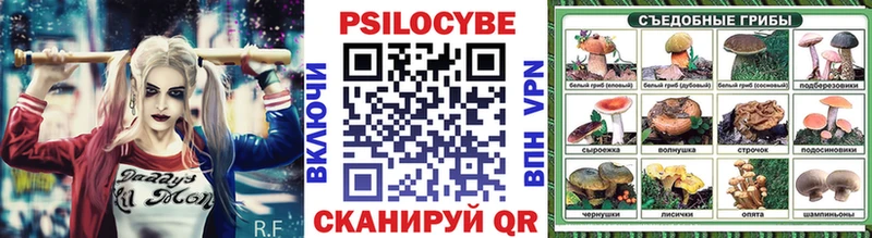 Псилоцибиновые грибы Cubensis  Слюдянка 